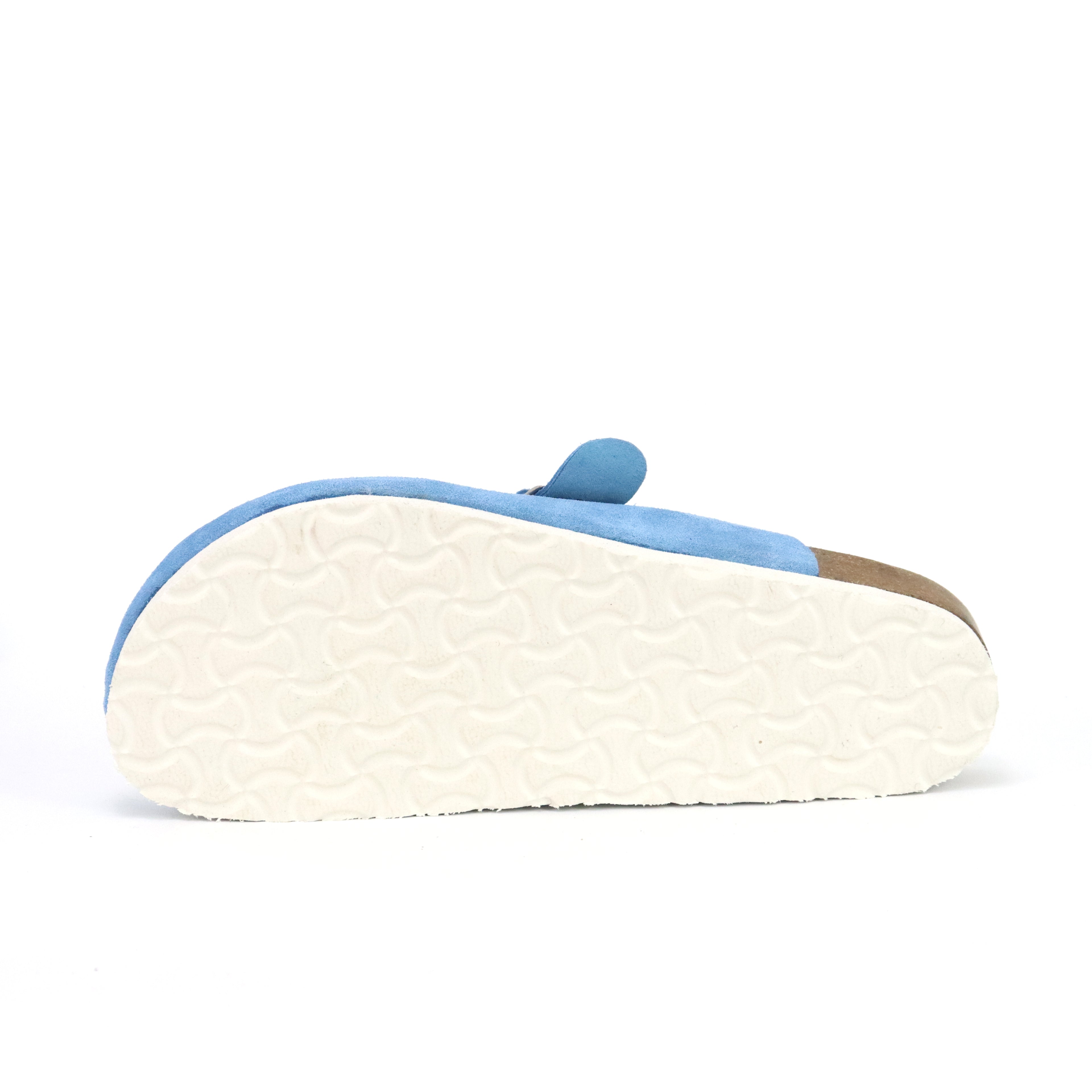 Baby Blue Clogs